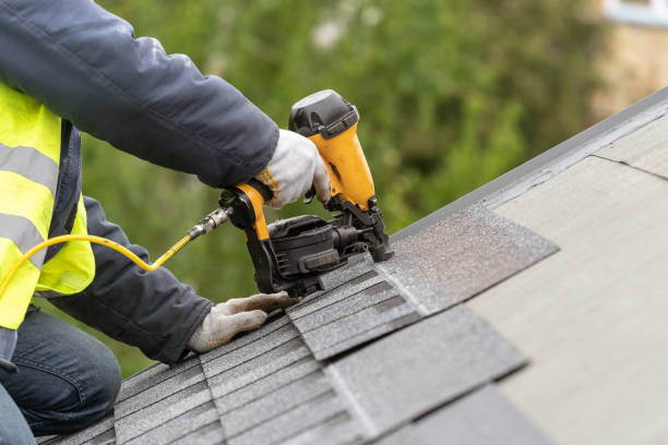 Best Roof Leak Repair  in Ben Bolt, TX